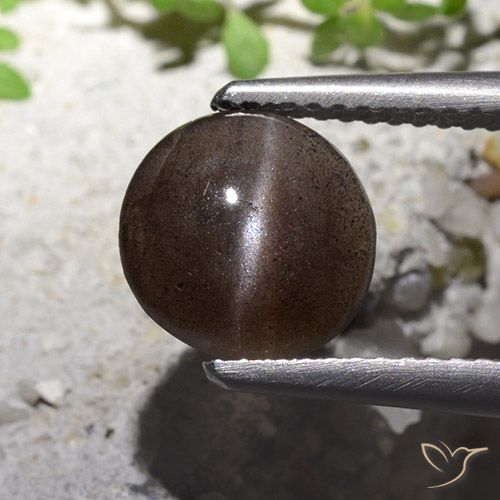 1.82ct 자연스러운 엄버 브라운 캣츠아이 스카폴라이트, 둥근, 투명한
