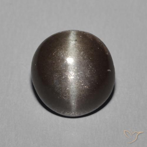 2.28ct 자연스러운 웜 블랙 캣츠아이 스카폴라이트, 둥근, 투명한