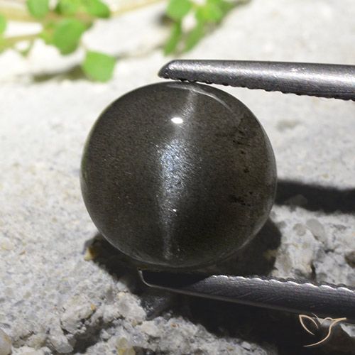 2.71ct 자연스러운 검은색 캣츠아이 스카폴라이트, 둥근, 투명한