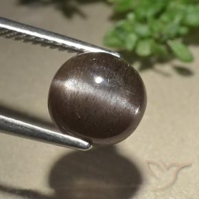 3.07캐럿 천연 엄버 브라운 캣츠아이 스카폴라이트, 라운드 컷, 투명한