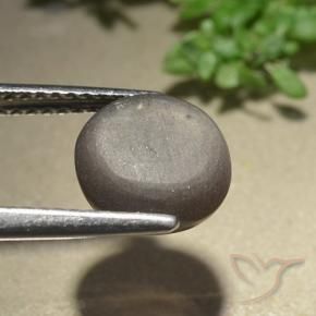 3.07캐럿 천연 엄버 브라운 캣츠아이 스카폴라이트, 라운드 컷, 투명한