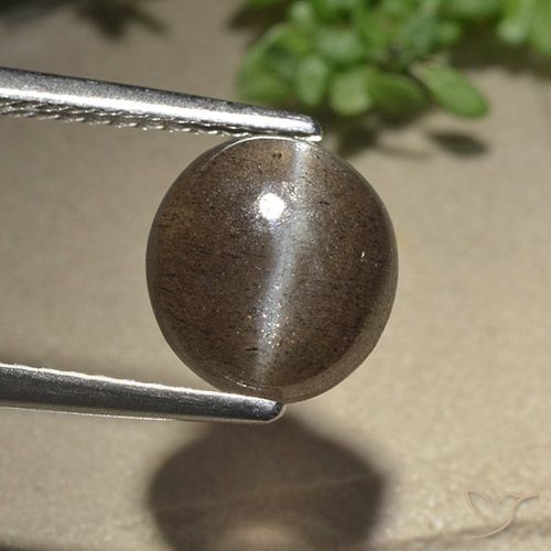 2.54ct 자연스러운 엄버 브라운 캣츠아이 스카폴라이트, 타원형, 투명한