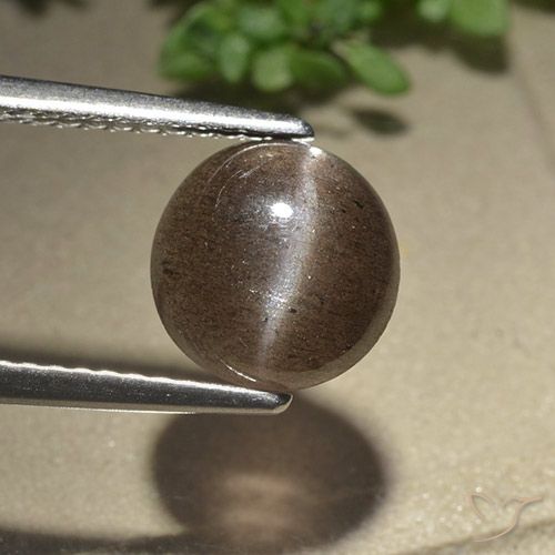 2.28ct 자연스러운 미디엄 브라운 캣츠아이 스카폴라이트, 둥근, 투명한
