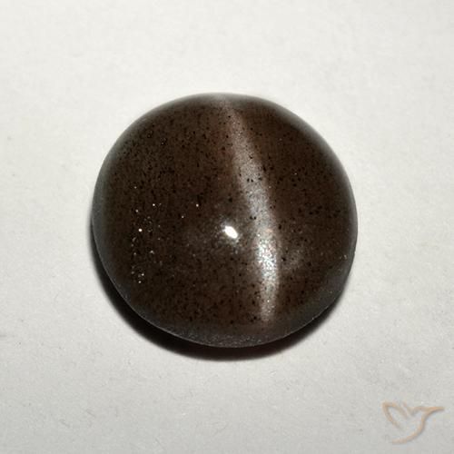 1.50캐럿 천연 미디엄 브라운 Cat's Eye Scapolite, 라운드 컷, 7.71 mm, 투명한