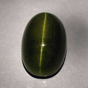 23.57캐럿 천연 딥 그린 Cat's Eye Tourmaline, 타원형 컷, 19.7×13.5 mm, 불투명체