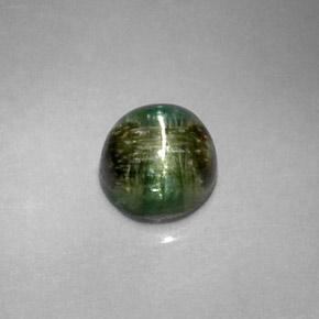 1.20캐럿 천연 딥 그린 Cat's Eye Tourmaline, 라운드 컷, 5.97 mm, 불투명체
