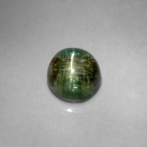 1.20캐럿 천연 딥 그린 Cat's Eye Tourmaline, 라운드 컷, 5.97 mm, 불투명체