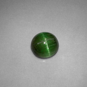 0.85캐럿 천연 딥 그린 Cat's Eye Tourmaline, 라운드 컷, 5.74 mm, 불투명체