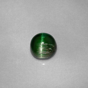 0.67캐럿 천연 딥 그린 Cat's Eye Tourmaline, 라운드 컷, 4.96 mm, 불투명체