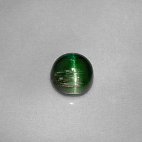 0.67캐럿 천연 딥 그린 Cat's Eye Tourmaline, 라운드 컷, 4.96 mm, 불투명체