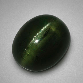 5.99캐럿 천연 딥 그린 Cat's Eye Tourmaline, 타원형 컷, 12.2×10.1 mm, 투명한