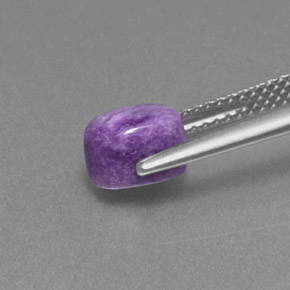 1.50캐럿 천연 제비꽃 차로아이트, 타원형 컷, 불투명체