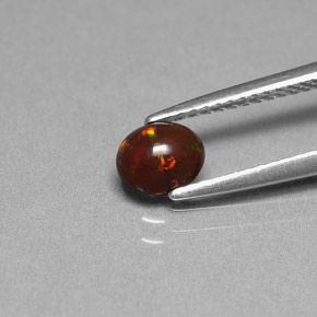 0.43캐럿 천연 다색 초콜릿 오팔, 타원형 컷, 불투명체