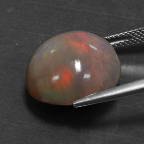 11.31캐럿 천연 멀티컬러 초콜릿 오팔, 라운드 컷, 16.18 mm, 불투명체
