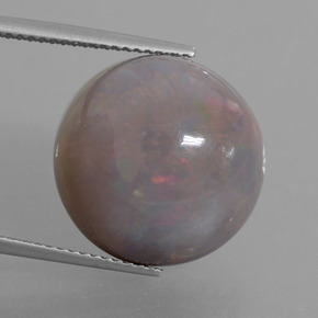 11.31캐럿 천연 멀티컬러 초콜릿 오팔, 라운드 컷, 16.18 mm, 불투명체