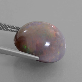 11.31캐럿 천연 멀티컬러 초콜릿 오팔, 라운드 컷, 16.18 mm, 불투명체