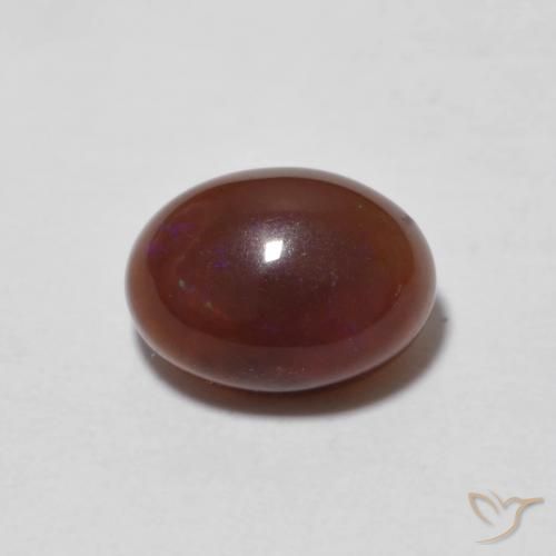 0.81ct 자연스러운 다색 초콜릿 오팔, 타원형, 투명한