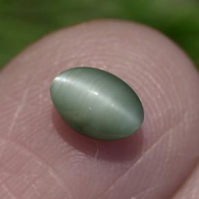 0.86캐럿 천연 그린 Chrysoberyl Cat's Eye, 타원형 컷, 6×4.2 mm, 불투명체