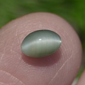 0.86캐럿 천연 그린 Chrysoberyl Cat's Eye, 타원형 컷, 6×4.2 mm, 불투명체