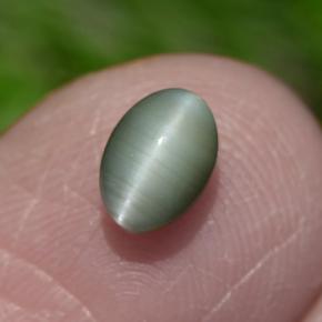 0.86캐럿 천연 그린 Chrysoberyl Cat's Eye, 타원형 컷, 6×4.2 mm, 불투명체
