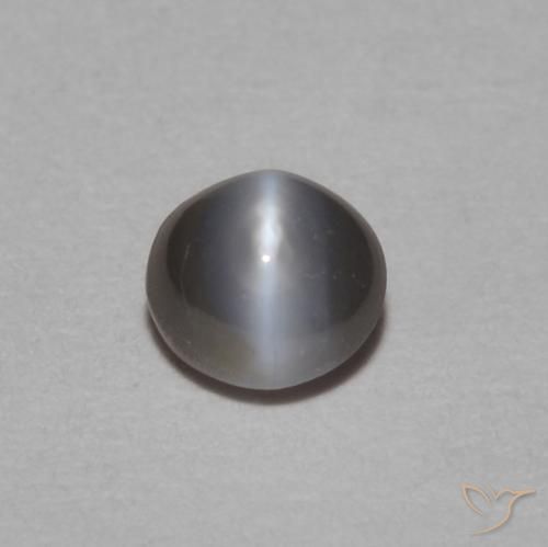 0.29캐럿 천연 어두운 회색 크리소베릴 캣츠아이, 타원형, 불투명체