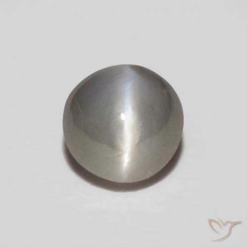 0.24캐럿 천연 매우 밝은 회색 크리소베릴 캣츠아이, 타원형, 불투명체