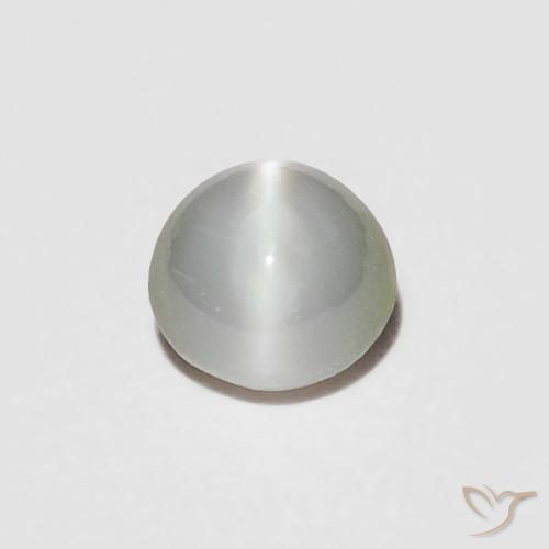 0.23캐럿 천연 회녹색 크리소베릴 캣츠아이, 타원형, 불투명체