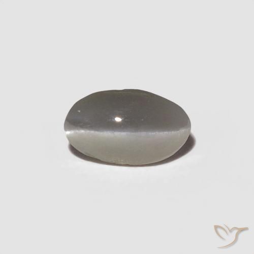 0.29캐럿 천연 매우 밝은 회색 크리소베릴 캣츠아이, 타원형, 불투명체