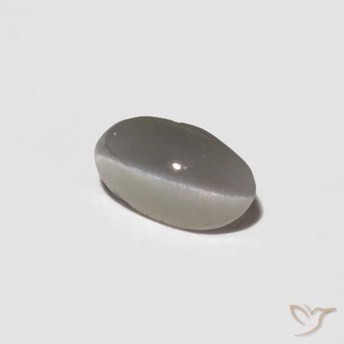 0.29캐럿 천연 매우 밝은 회색 크리소베릴 캣츠아이, 타원형, 불투명체