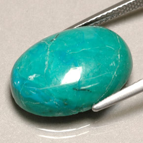 8.90캐럿 천연 그린 크리소콜라, 타원형 컷, 18.1×13.2 mm, 불투명체
