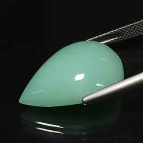 16.75캐럿 천연 그린 크리소프레이즈, 투명한, 22.1×15.7 mm, 투명/반투명