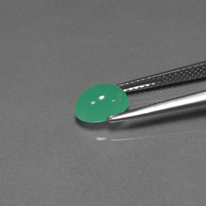 1.57캐럿 천연 그린 크리소프레이즈, 투명한, 8×6 mm, 투명/반투명