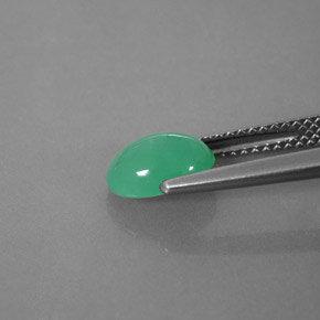 1.42캐럿 천연 그린 크리소프레이즈, 투명한, 8.3×6.2 mm, 투명/반투명