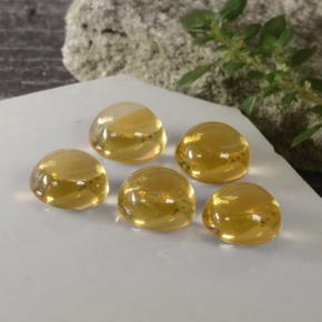 캐럿 천연 골든 옐로우 시트린 보석, 라운드 컷, 8.00 mm, 투명한