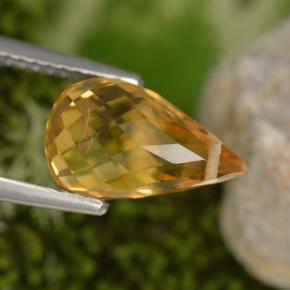 3.48캐럿 천연 골든 옐로우 시트린, 브리올레트, 11.9×7.4 mm, VS