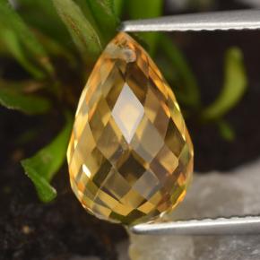 3.86캐럿 천연 골든 옐로우 시트린, 브리올레트, 12×7.7 mm, VVS