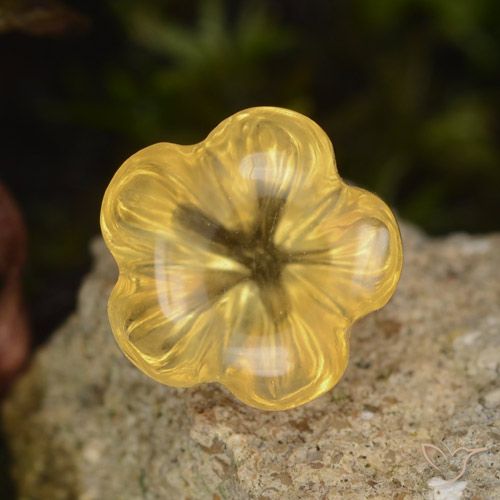 1.47ct 자연스러운 Medium Gold  황수정, 플라워 컷, 투명한