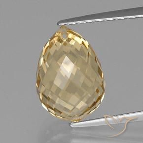 9.20ct 자연스러운 골든 오렌지 황수정, 브리올레트, VVS