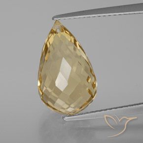 8.24ct 자연스러운 라이트 골든 황수정, 브리올레트, VVS-VS