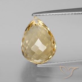 5.41ct 자연스러운 골든 오렌지 황수정, 브리올레트, VVS-VS