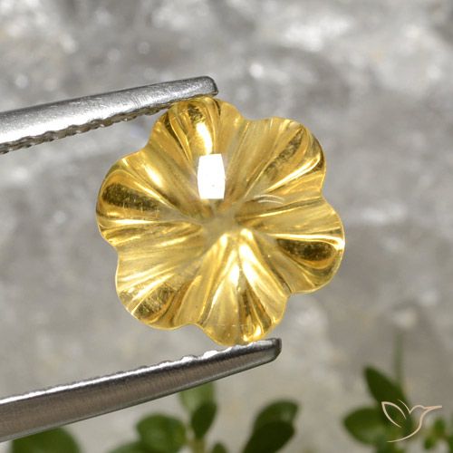 2.78ct 자연스러운 딥 골드 황수정, 플라워 컷, 투명한