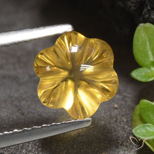 1.66ct 자연스러운 미디엄 골든 황수정, 플라워 컷, 투명한