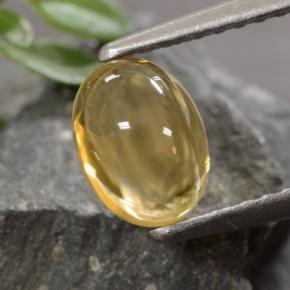 1.07캐럿 천연 미디엄 골드 시트린, 타원형 컷, 6.9×5.1 mm, 투명한