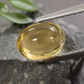 1.07캐럿 천연 미디엄 골드 시트린, 타원형 컷, 6.9×5.1 mm, 투명한
