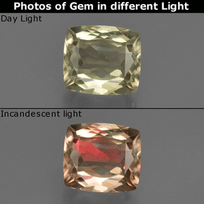 1.41캐럿 천연 그린/핑크 컬러체인지 디아스포어, 쿠션 컷, 6.7×6 mm, VVS-VS