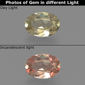 0.73캐럿 천연 갈황색 색상 변화 디아스포어, 타원형 컷, VVS-VS