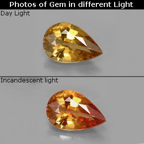 1.37캐럿 천연 골든 브라운에서 오렌지 컬러체인지 가넷, 배 모양, 8.8×5.8 mm, VVS-VS