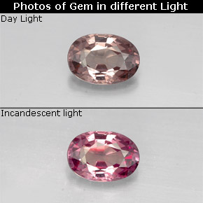 0.76캐럿 천연 핑크빛 로즈에서 레드 핑크 컬러체인지 가넷, 타원형 컷, 6.5×4.6 mm, VVS