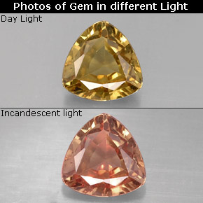 0.77캐럿 천연 골든 브라운에서 오렌지 컬러체인지 가넷, 트릴리언, 5.9×5.9 mm, VS