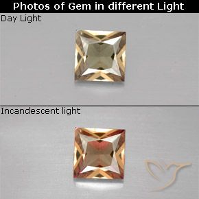 0.51ct 자연스러운 골든 브라운 색상 변경 가넷, 정사각형, VVS-VS